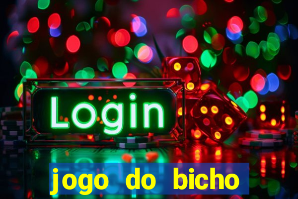 jogo do bicho crash bingo